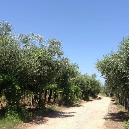 Hébergement de vacances Falkenburg Ortona